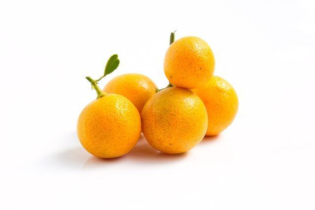 金桔